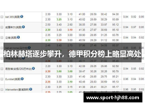 柏林赫塔逐步攀升，德甲积分榜上略显高处