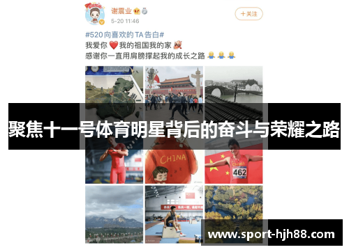 聚焦十一号体育明星背后的奋斗与荣耀之路